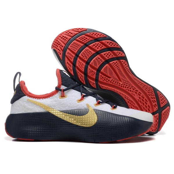 Nike LeBron TR 1 USA Olympic PE